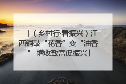 （乡村行·看振兴）江西铜鼓“花香”变“油香” 增收致富促振兴
