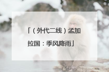 （外代二线）孟加拉国：季风降雨