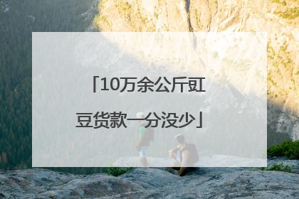 10万余公斤豇豆货款一分没少