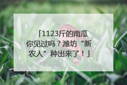 1123斤的南瓜你见过吗？潍坊“新农人”种出来了！