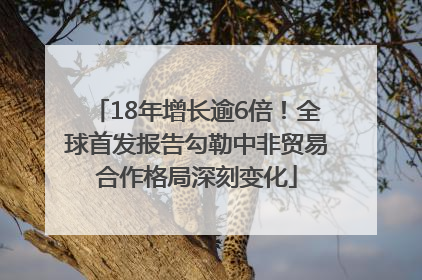 18年增长逾6倍！全球首发报告勾勒中非贸易合作格局深刻变化