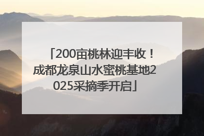 200亩桃林迎丰收！成都龙泉山水蜜桃基地2025采摘季开启