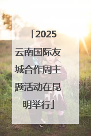 2025云南国际友城合作周主题活动在昆明举行