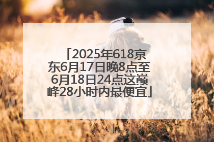 2025年618京东6月17日晚8点至6月18日24点这巅峰28小时内最便宜