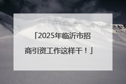 2025年临沂市招商引资工作这样干！