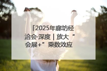 2025年廊坊经洽会·深度｜放大“会展+”乘数效应 打造消费新场景