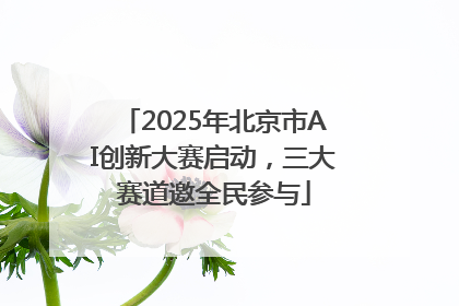 2025年北京市AI创新大赛启动，三大赛道邀全民参与