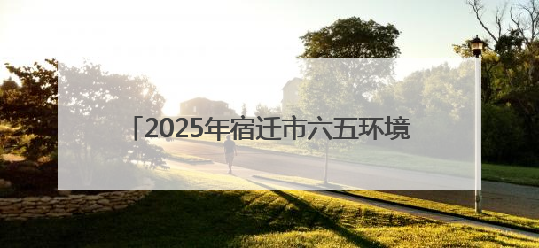 2025年宿迁市六五环境日新闻发布会召开，生态环境质量与营商环境双优化