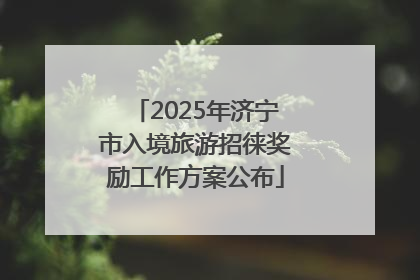 2025年济宁市入境旅游招徕奖励工作方案公布