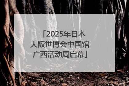 2025年日本大阪世博会中国馆广西活动周启幕