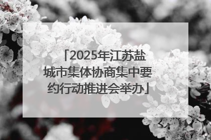 2025年江苏盐城市集体协商集中要约行动推进会举办
