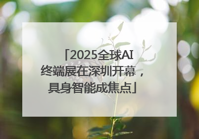 2025全球AI终端展在深圳开幕，具身智能成焦点