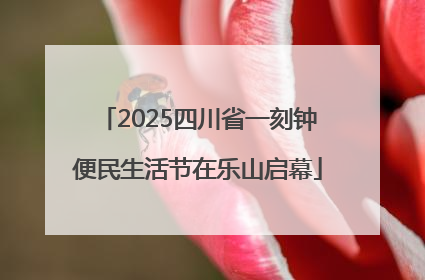 2025四川省一刻钟便民生活节在乐山启幕