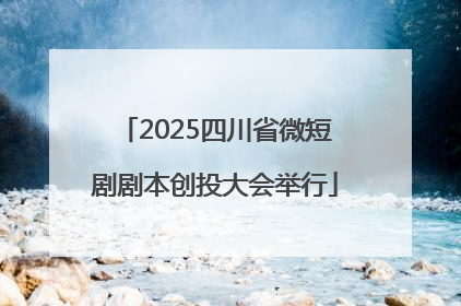 2025四川省微短剧剧本创投大会举行