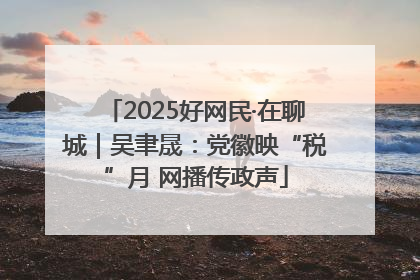 2025好网民·在聊城｜吴聿晟：党徽映“税”月 网播传政声