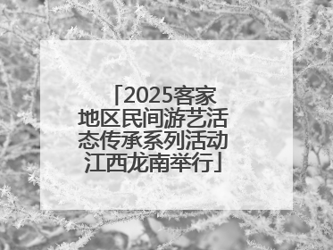 2025客家地区民间游艺活态传承系列活动江西龙南举行