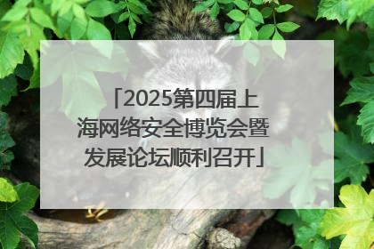 2025第四届上海网络安全博览会暨发展论坛顺利召开