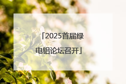2025首届绿电铝论坛召开
