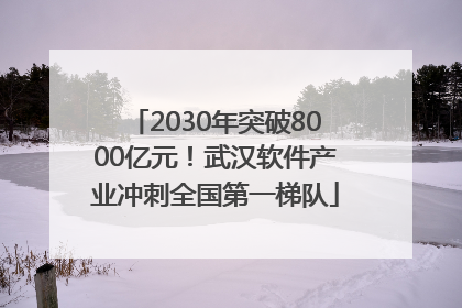 2030年突破8000亿元！武汉软件产业冲刺全国第一梯队