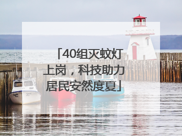 40组灭蚊灯上岗，科技助力居民安然度夏