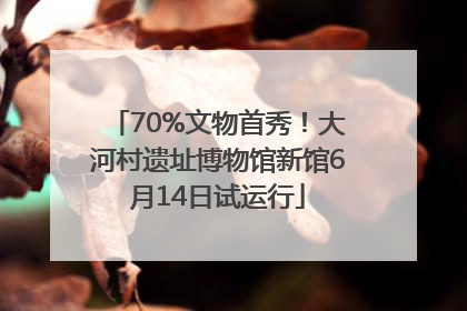 70%文物首秀！大河村遗址博物馆新馆6月14日试运行
