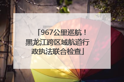 967公里巡航！黑龙江跨区域航道行政执法联合检查