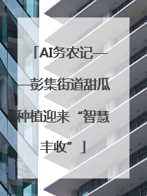 AI务农记——彭集街道甜瓜种植迎来“智慧丰收”