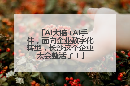 AI大脑+AI手伴，面向企业数字化转型，长沙这个企业太会整活了！