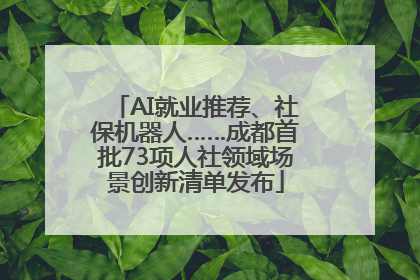 AI就业推荐、社保机器人……成都首批73项人社领域场景创新清单发布