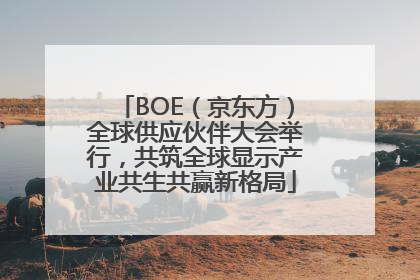 BOE（京东方）全球供应伙伴大会举行，共筑全球显示产业共生共赢新格局