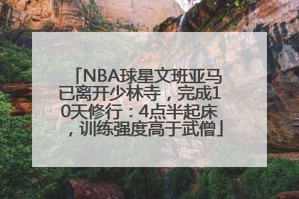 NBA球星文班亚马已离开少林寺，完成10天修行：4点半起床，训练强度高于武僧