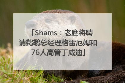 Shams：老鹰将聘请鹈鹕总经理格雷厄姆和76人高管丁威迪