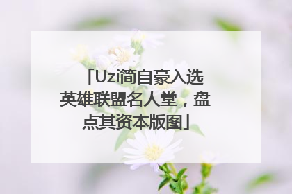 Uzi简自豪入选英雄联盟名人堂，盘点其资本版图